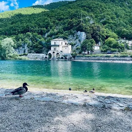 Legacy * Сканно